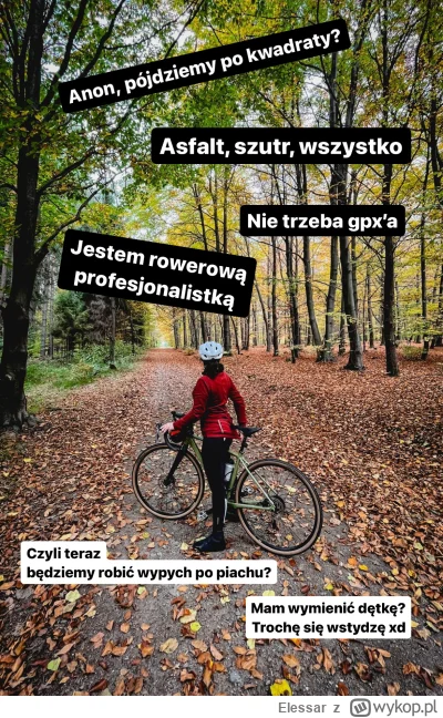 Elessar - Szara myszka dla rowerowego Anonka ( ͡° ͜ʖ ͡°)

#rower #gravel #heheszki #s...