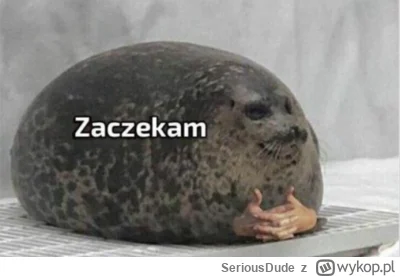 SeriousDude - NATO widząc jak przez pół Polski leci rakieta i ląduje pod Bydgoszczą (...