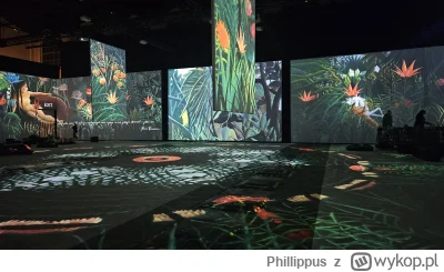 Phillippus - Natrafiłem na fajna wystawe z cyklu Monet i przyjaciele.  Zasadniczo w o...