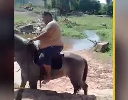 noipmezc - jezdziliscie kidys na koniu bo ja nie