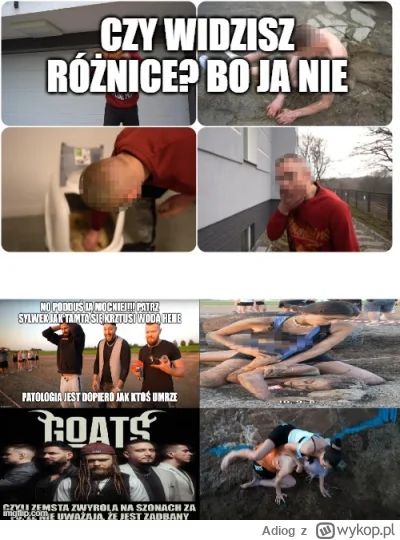 Adiog - kamerzysta vs goats. JAKAŚ RÓŻNICA? Ja nie widzę, żadnej różnicy. Mam nadziej...