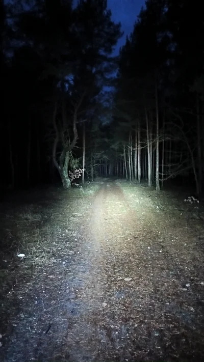 vieniasn - idę se już w ciemny las