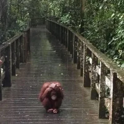 remlezar - #przegryw 

Huopa dziś przewiało, przemoczyło. Pogoda nieludzka