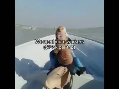 JimLahey88 - Zamiast pracować dla cweli ukropów czy gruzinów z tiktoczka lepiej naucz...