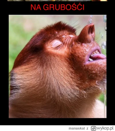 manaskal - @HrabiaTruposz: