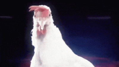 T.....s - @wfyokyga: