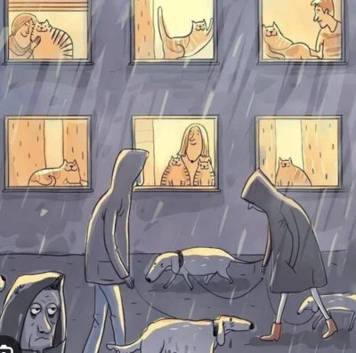 Itslilianka - Ja siedzę i pije kakałko a psiegrywy muszą dymac w deszczu by wysrać sw...