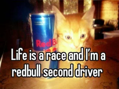 CPerez11 - #f1 #f1memy
Sad but true ( ͡° ͜ʖ ͡°)