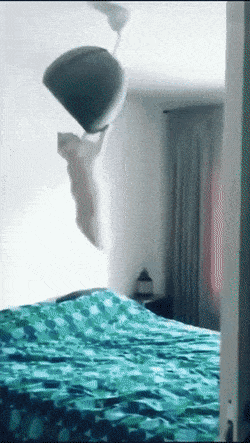 wfyokyga - Interstellar-docking.flac