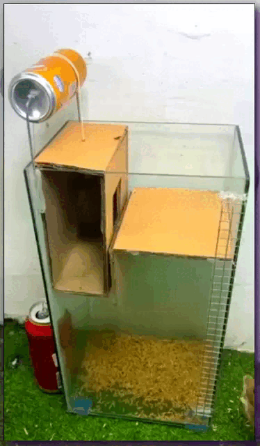 wfyokyga - Pułapka na króla szczurów wyznawców topexu, niegodne to i niesprawiedliwe ...