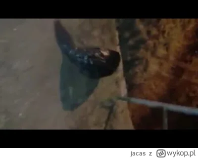 jacas - A więc to Areczek jest autorem tego dzieła 

#rolnikszukazony