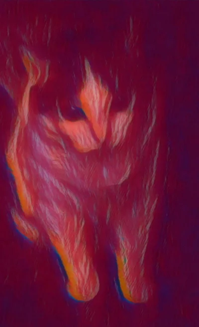 Solsith - #pokazkota  #spaslak son goku(⌐ ͡■ ͜ʖ ͡■)