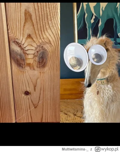 Multiwitamina-_ - Widzę zdarzenia które się wydarzyły, inne, które jestem pewien że n...