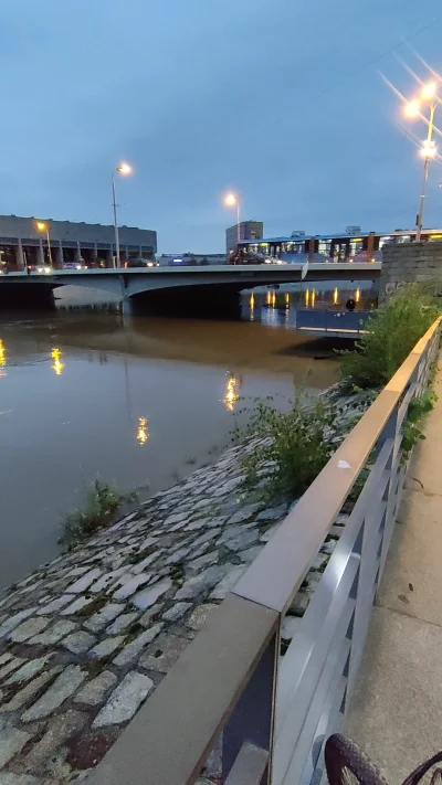 rampaging - #odra (jeszcze) spokojna we #wroclaw
#powodz