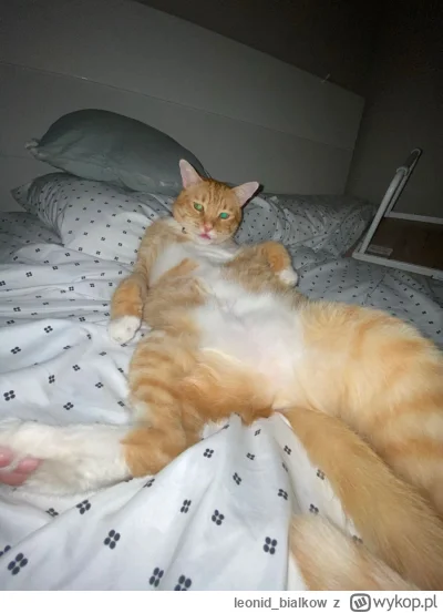 leonid_bialkow - @Wrrronika: i tak to jes na tym portalu ogunie
SPOILER