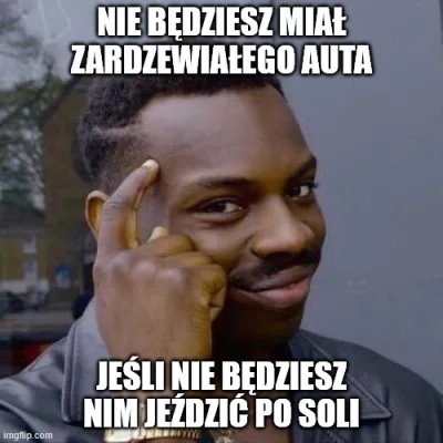 r5678 - wyczytałem że miasto wysypało 458 ton soli. Nie wyjeżdżam autem z garażu. Ost...