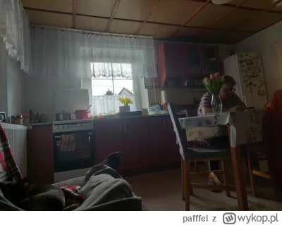 pafffel - poleżeć trza zaraz koledzy wrócą