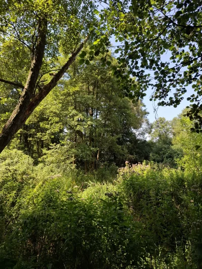 Eskwilin - @Eskwilin: