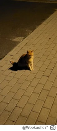 Wookash071 - Rudy kolega po raz kolejny nakarmiony