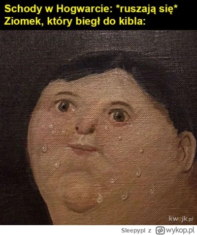 Sleepypl - #harrypotter