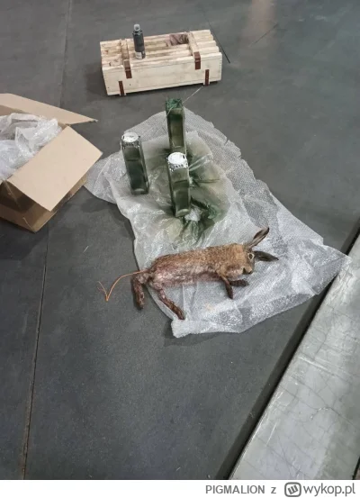 PIGMALION - #ukraina #rosja #ciekawostki #wojna

  Na telegramie pojawiły się ostrzeż...