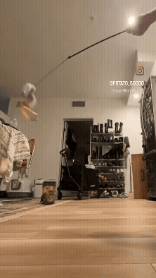 jestemtakizmeczony - @jestemtakizmeczony: