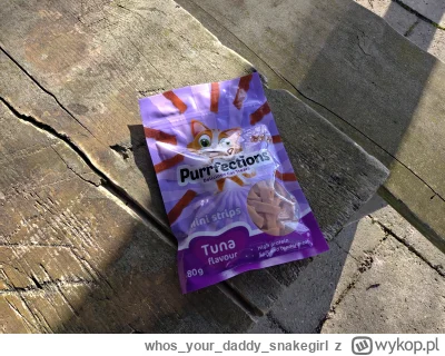 whosyourdaddy_snakegirl - Idąc na #spierdotrip pamiętajcie o bezdomnych kotkach

#kot...