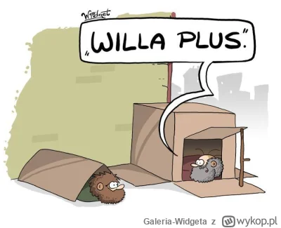 Galeria-Widgeta - Rys. Widget
instagram
#bekazpis #willaplus