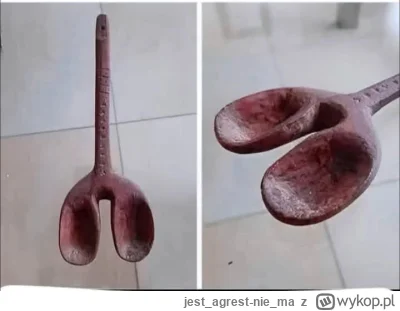 jestagrest-niema - Zabytkowa łyżka do karmienia Kaczyńskich. 

#heheszki #humorobrazk...