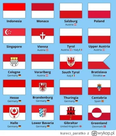 kureci_paratko - #czechia