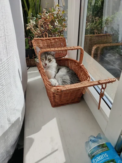 BedzieDobraGra - @troloking: Moja ma podobne ( ͡° ͜ʖ ͡°)