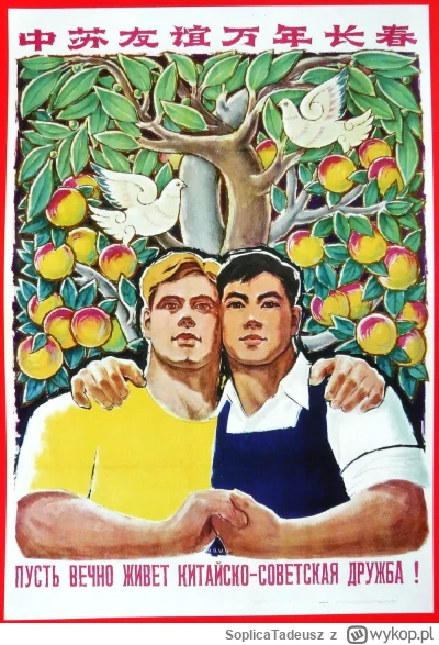 SoplicaTadeusz - @SoplicaTadeusz Albo tutaj. Przecież to wygląda jak zdjęcie na insta...