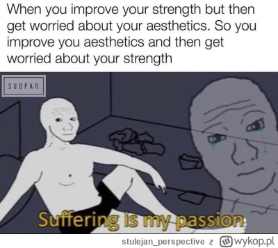 stulejan_perspective