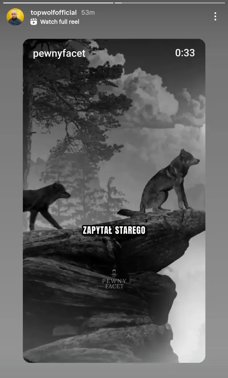 nO-C34 - Dlaczego ten wilk wygląda jakby srał?
#sebcel