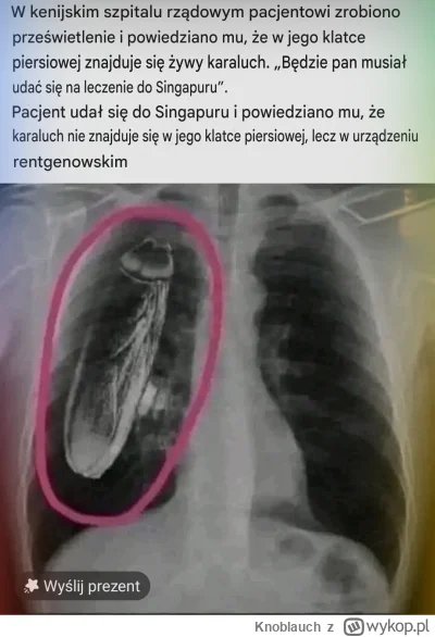 Knoblauch - #heheszki