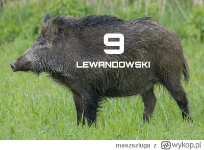 maszszluga - @LamajHarma: