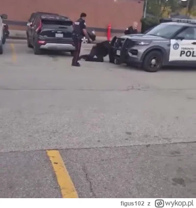 figus102 - jprdl amerykańska #policja w akcji. #trzecieoko
https://streamable.com/1hx...