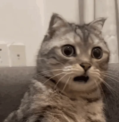 DziurawaSkarpeta - @iterazwchodzejacalyna_bialo: niesamowite