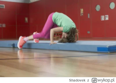 Shadovek - @splinter96: Pan Sławek jak zawsze merytorycznie