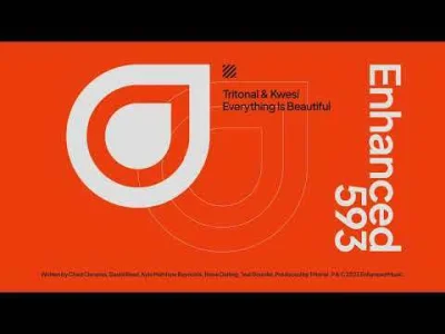 rbbxx - Tritonal & Kwesi - 'Everything Is Beautiful'

#muzykaelektroniczna #house #tr...