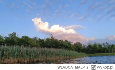 WLADCA_MALP - Ludzie bardziej się przejmują, że komuś przeszkadzają telefonem podczas...