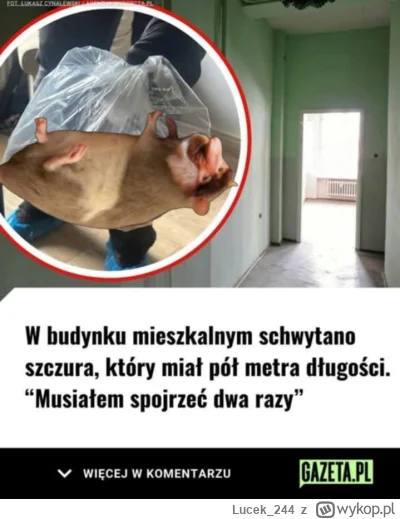 Lucek_244 - #konkursnanajbardziejgownianymemznosaczem