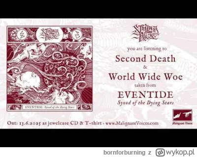 bornforburning - Nowe Dissection wleciało aż miło
#blackmetal #metal