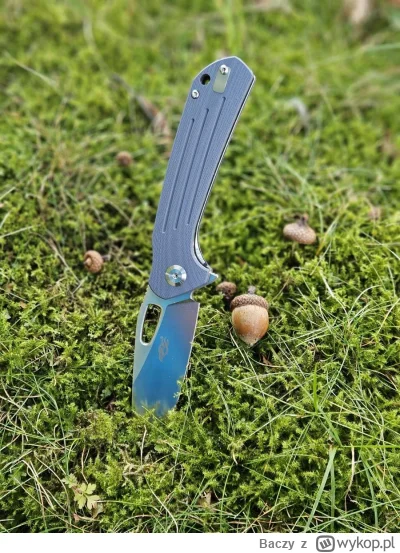 Baczy - @vieniasn: Kolorek zacny. Stal D2 jest dość dobra. Ja takiego kupiłem sobie n...