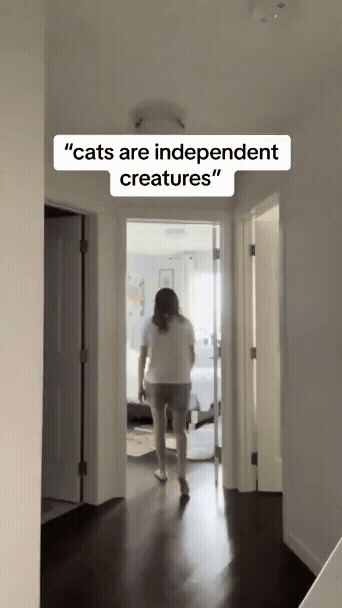 jestemtakizmeczony - @jestemtakizmeczony: