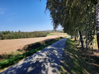 dreamcore - #spierdotrip rowerowy