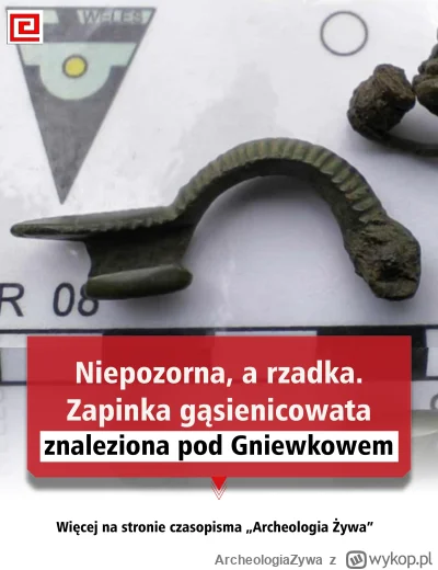 ArcheologiaZywa - Niepozorna, a rzadka. Zapinka gąsienicowata znaleziona pod Gniewkow...