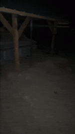 wfyokyga - Nie widać nas