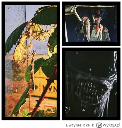 DwayneHicks - Mówili zacznij hodować straszyki, co może pójść nie tak? ¯\(ツ)/¯
#alien...