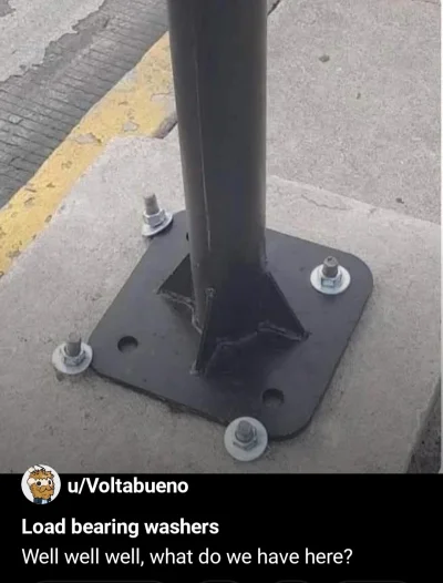 cheeseandonion - #gotoweszefie #zzr